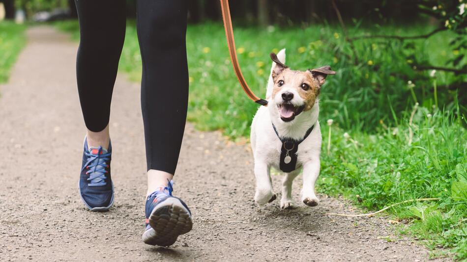 Frau und Hund