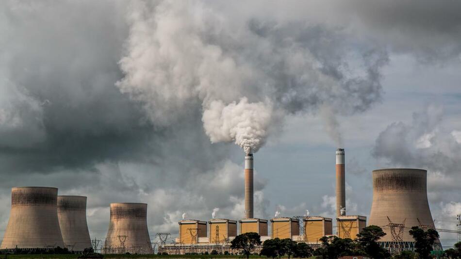 Bevor man mit Seegras CO2 kompensiert, sollte man CO2-Emissionen verringern.