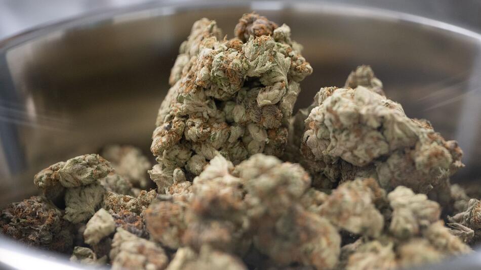 Vor Cannabis-Legalisierung