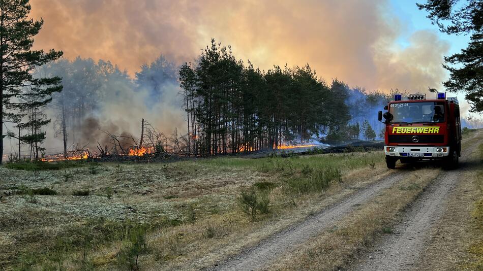 Waldbrandbekämpfung durch die Feuerwehr am 12. Juni 2023 im südlichen Mecklenburg