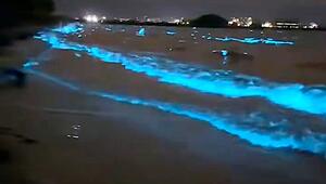Meer leuchtet: Biolumineszentes Plankton taucht Japans Küste in elektrisches Blau