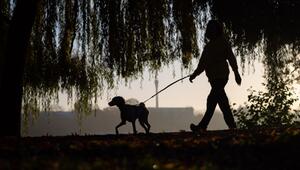 Frau geht mit Hund spazieren