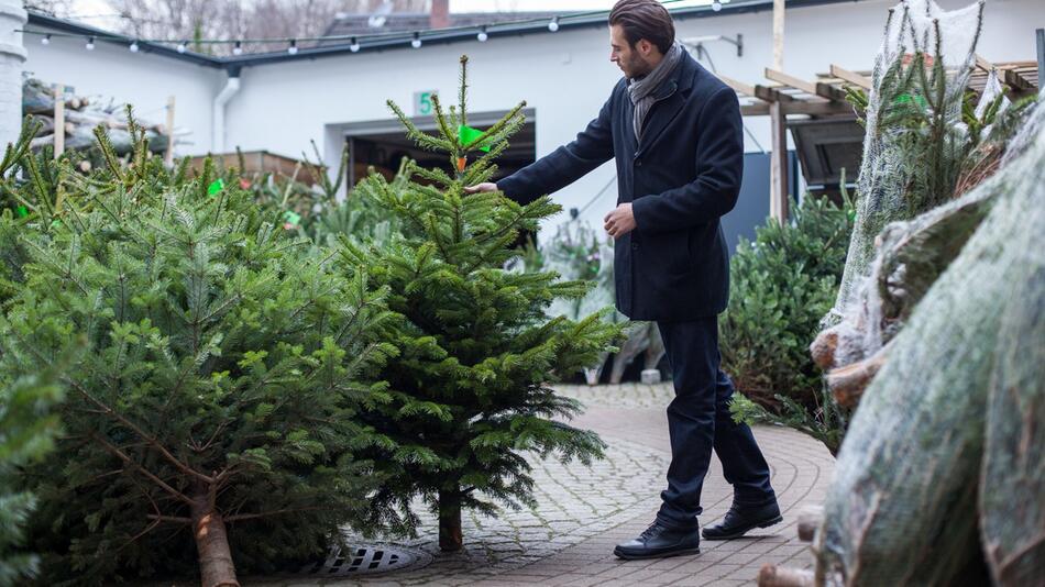 Weihnachtsbaum kaufen