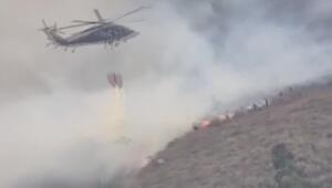 Waldbrand in Kolumbien: Naturschutzgebiet in Flammen