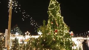 7 Kilometer Kabel, 120.000 Lichter: Mindens spektakulärstes Weihnachtshaus