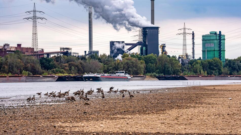 Ressourcen-Expertin zeichnet düsteres Bild für die Zukunft