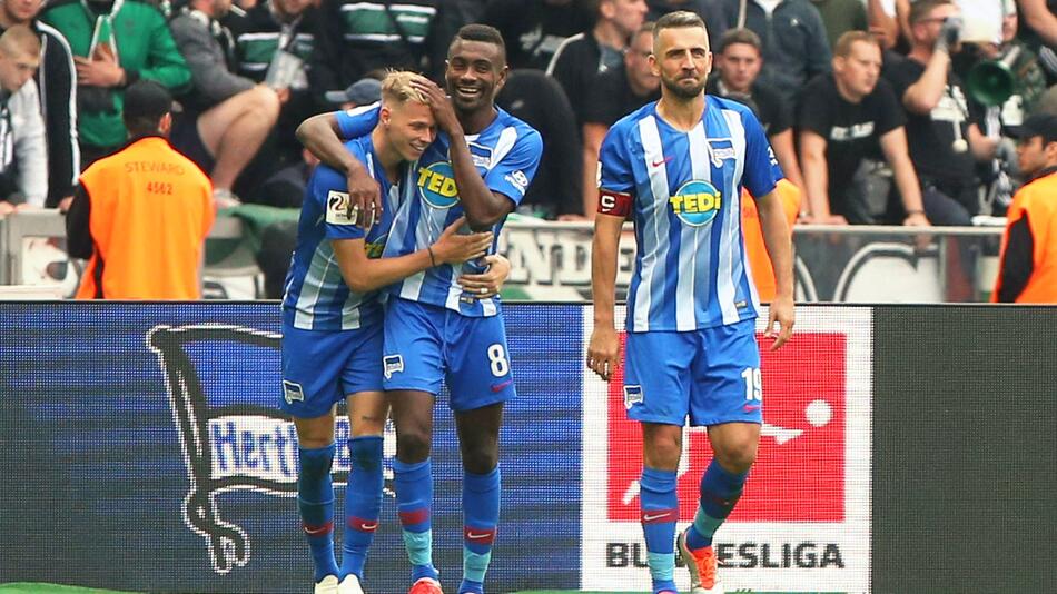 Fußball, Bundesliga, Hertha BSC, Duda, Kalou, Ibisevic