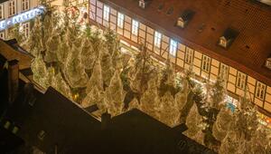 Weihnachtswald in Goslar