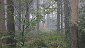 Waldbrand im Hohen Venn