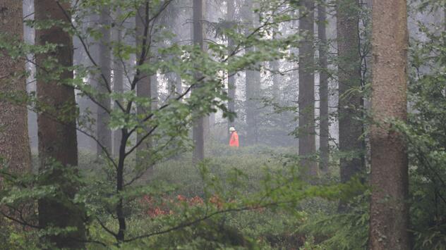 Waldbrand im Hohen Venn