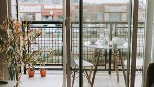 Kübelpflanzen, die du schon im April rausstellen kannst