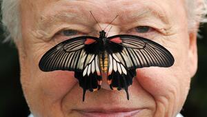 David Attenborough wird 100