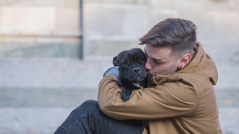 Umarmungen und Küsse mögen Hunde nicht.