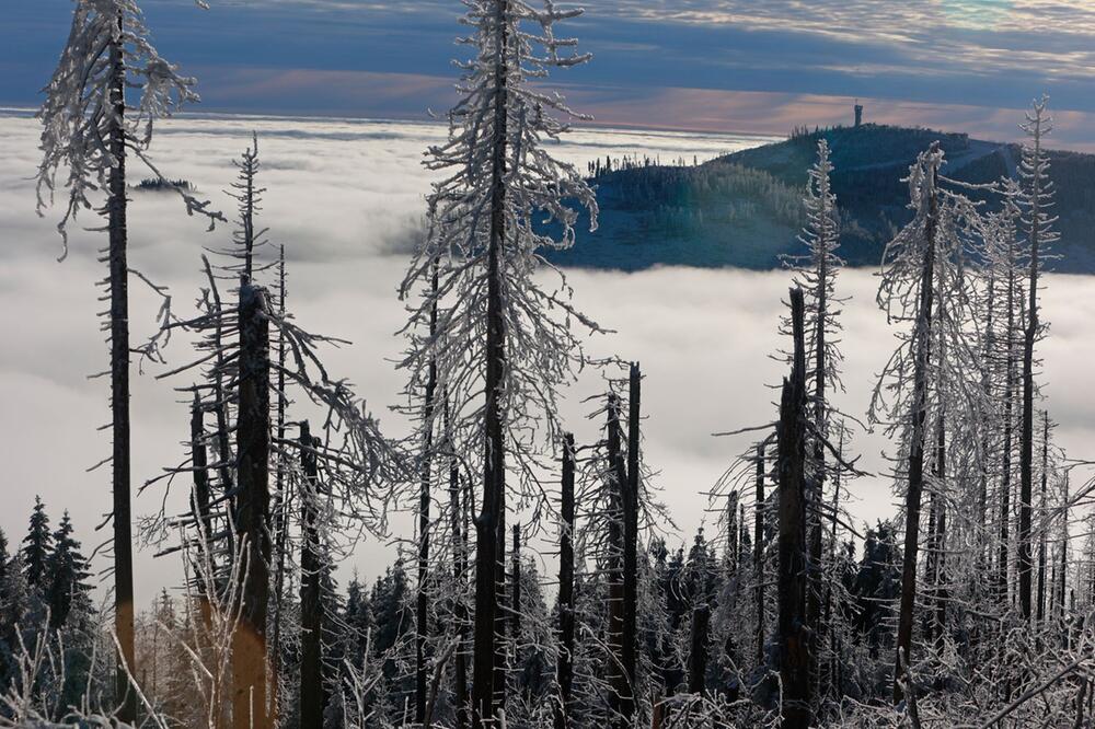 Wetter im Harz - Archiv