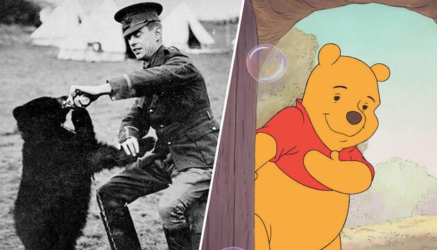 Winniepeg Bär Saldat Winnie Puuh