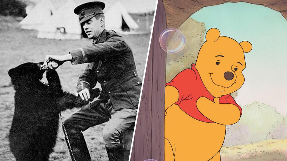 100 Jahre Winnie Puuh: Die traurige Wahrheit hinter der Kinderbuchfigur