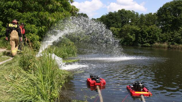 Fischsterben im Gleiwitzer Kanal in Polen