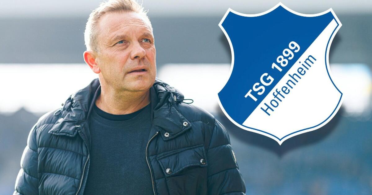 Offiziell: TSG Hoffenheim Trennt Sich Von Trainer Breitenreiter | GMX