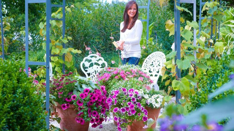 Farbgestaltung im Garten