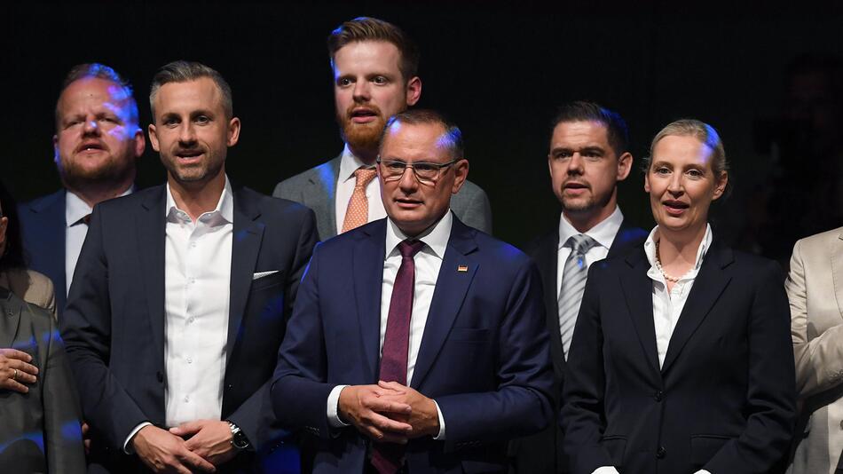 Forscher sieht AfD als "ausmobilisiert" an