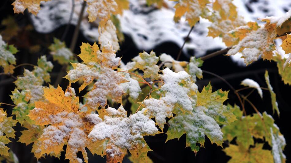 Schnee im Voralpenland