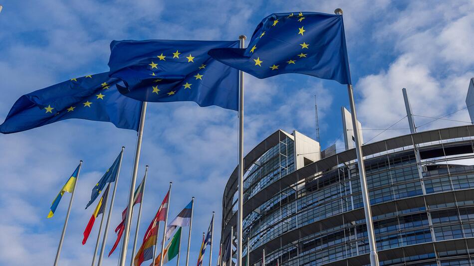 Europapartei der AfD droht ein millionenschwerer Verlust