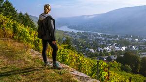 Wandern in den Weinbergen von Rheinland-Pfalz