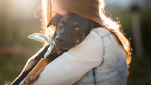 ängstlicher Hund an der Leine