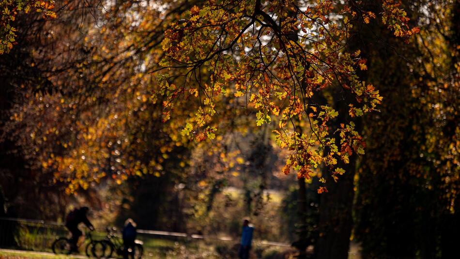 Herbstwetter im Park Sanssouci