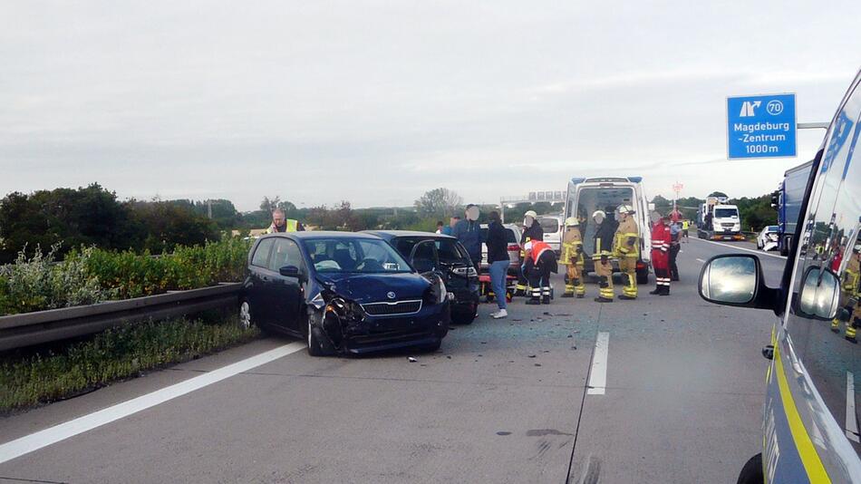 Schwan auf der Autobahn sorgt für Unfall mit vier Autos