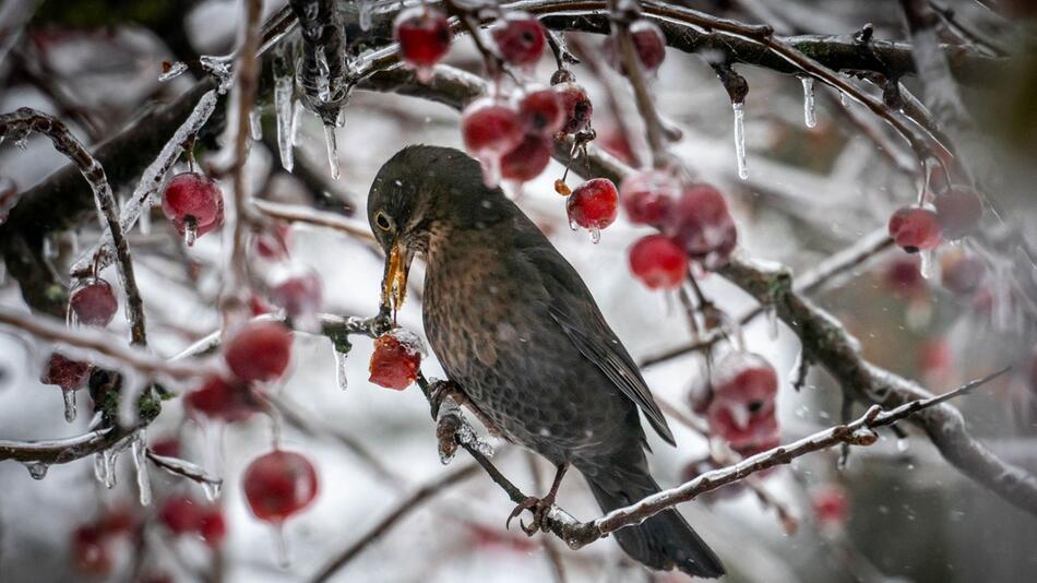 Winter in Hessen