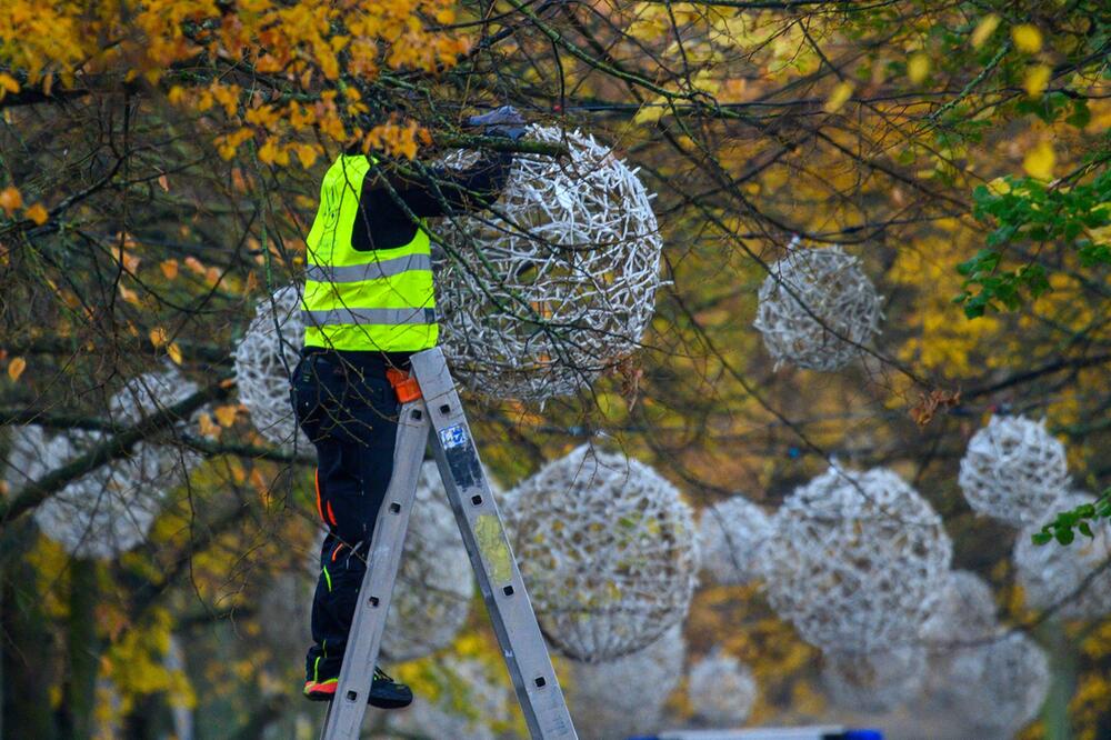 Magdeburger Lichterwelt