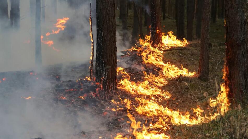 Waldbrand, Mecklenburg-Vorpommern, Evakuierungen, Evakuierung, Lübtheen, Jessenitz, Feuerwehr