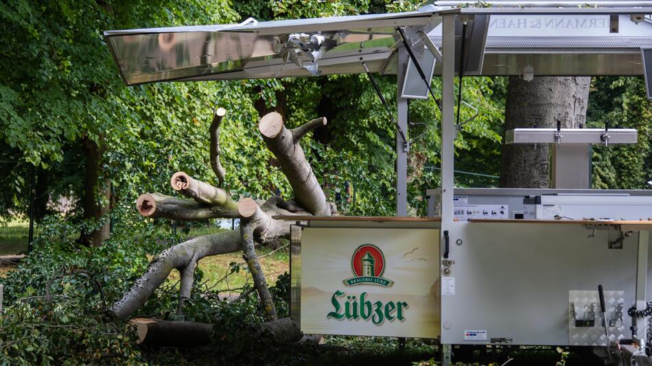 Großer Ast stürzt bei Open Air herab - Verletzte