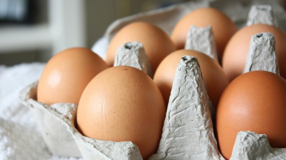 Eier bei Öko-Test: Schlusslicht sind Freilandeier eines Discounters