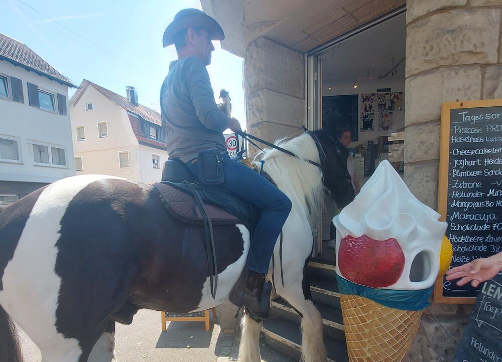 Das Pferd genießt die Ausflüge.