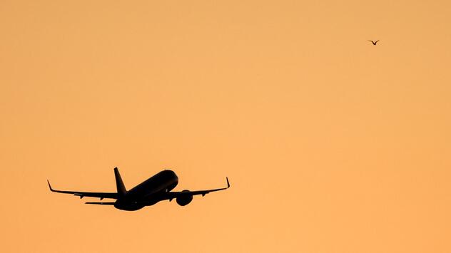 Flugzeug