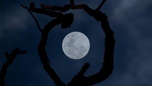 Vollmond