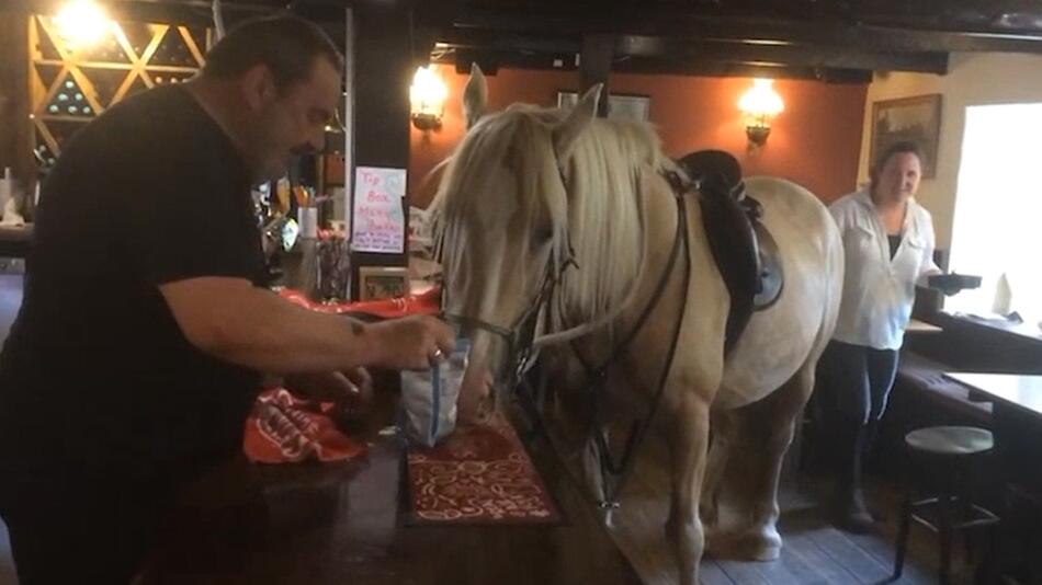 England: Pferd geht in den Pub und frisst Chips