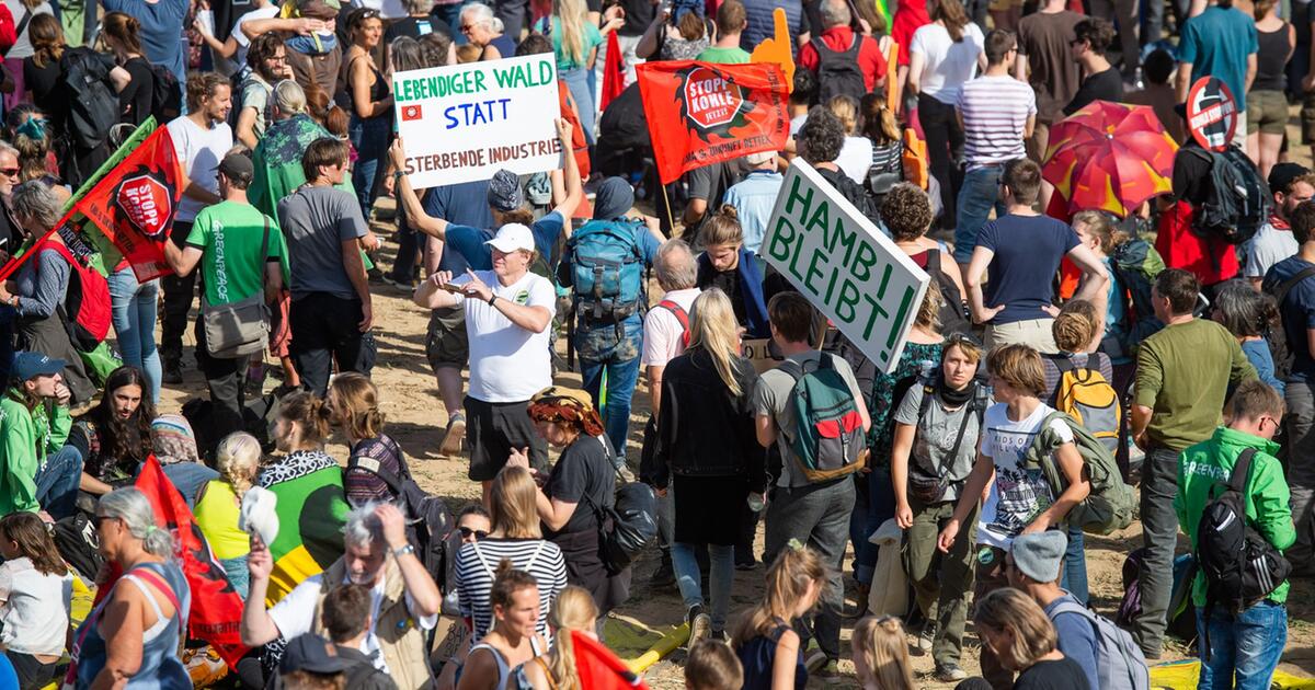 Hambacher Forst: Triumph und Wut der Kohlegegner - 50.000 bei Anti 