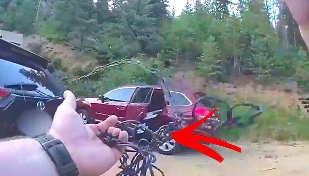Bär sperrt sich in Auto ein – Polizist muss kreativ werden