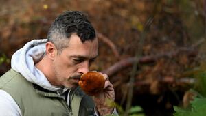 Mit einem Pilz-Influencer in den Pilzen