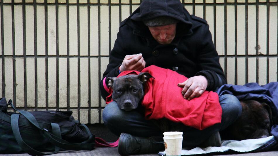 Der HTV bietet Übernachtungsplätze für Hunde an.