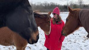 Day Dreams Farm: Letzte Hoffnung für Pferde.