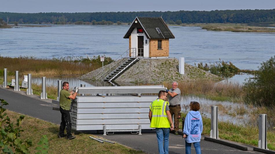 Oder-Hochwasser: Höchste Alarmstufe in Ratzdorf erwartet