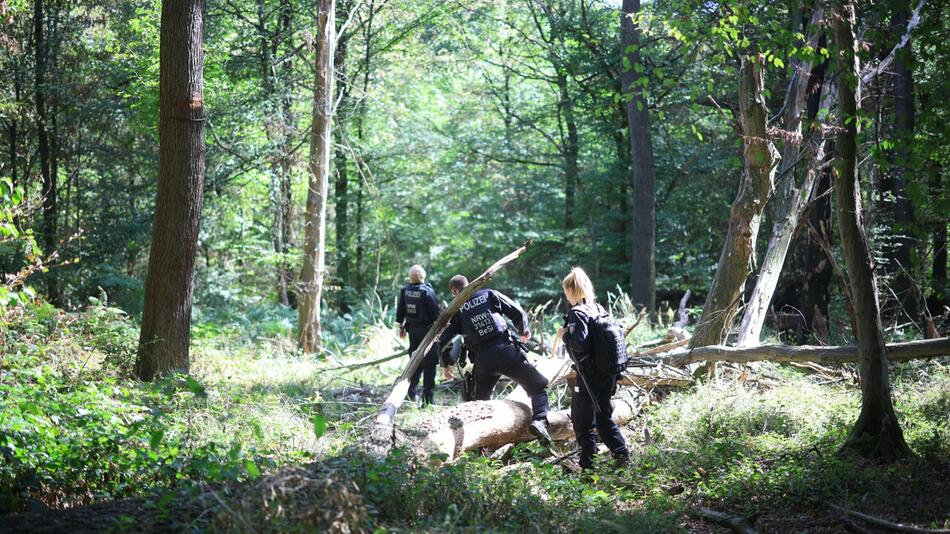 Strom-Sabotage: Polizei sucht im Hambacher Forst nach Täter