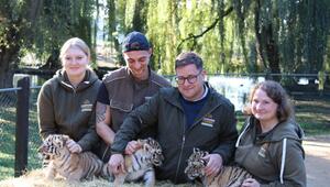 Tigerdrillinge im Tierpark Ströhen