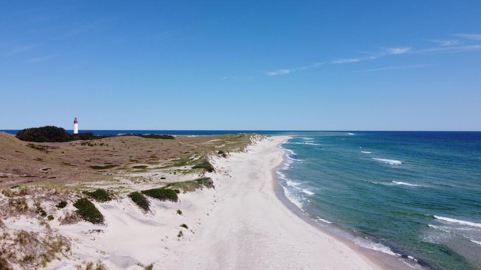 Toter Wal ist wohl das aus der Ostsee abtransportierte Tier