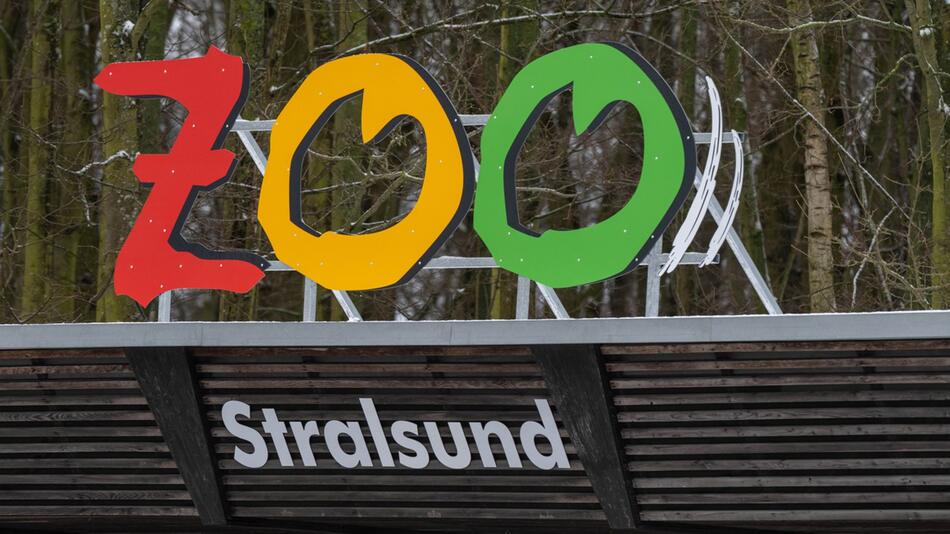 Zoo Stralsund wegen Geflügelpest geschlossen