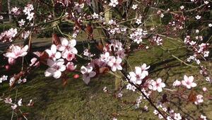 Launisches Aprilwetter mit Sonne, Regen und Wind